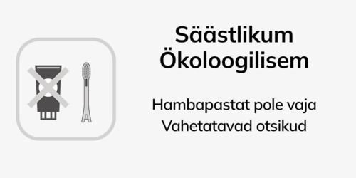 Säästlikum Ökoloogilisem