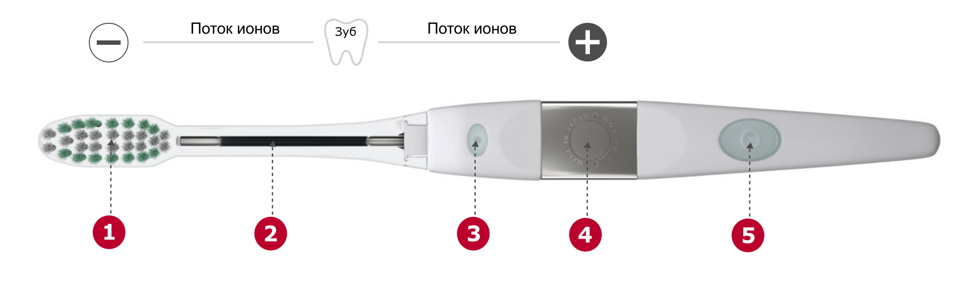 Описание зубной щетки IONICKISS